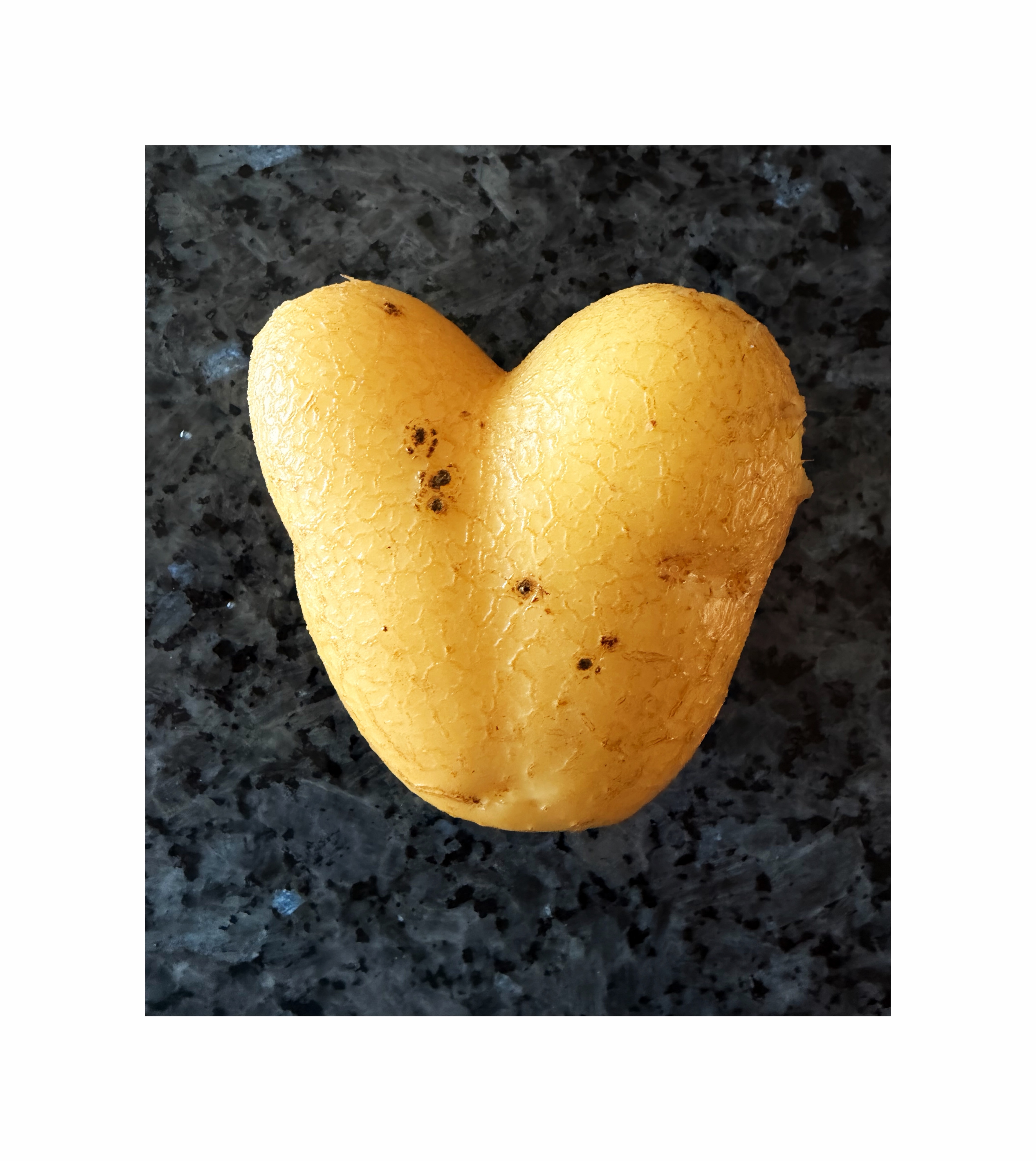 Potatoes harvesting my garden.

Single heart shape potato

Colour image by hedy bach 2026  